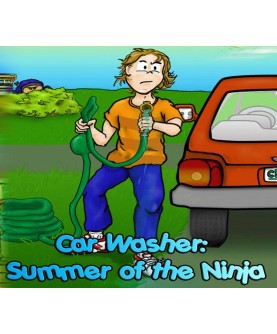 Car Washer: Summer of the Ninja Steam Key GLOBAL